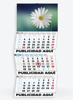 calendarios publicitarios 2024 3 meses vista internacional cartela personalizada