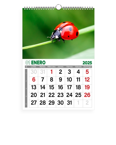 calendario 13 hojas 2025 imagenes